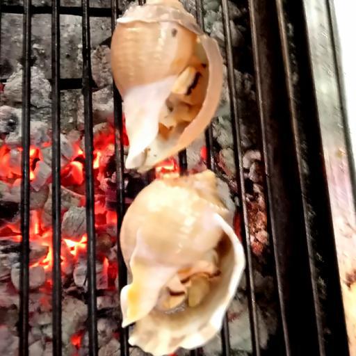 oc-toi-nuong-moi-con-lon