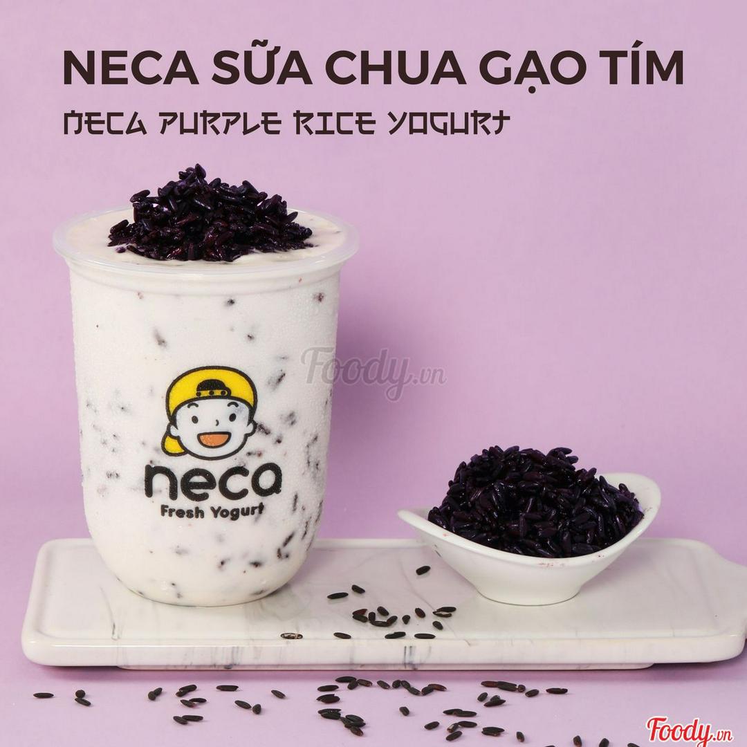 neca-sua-chua-uong-gao-tim
