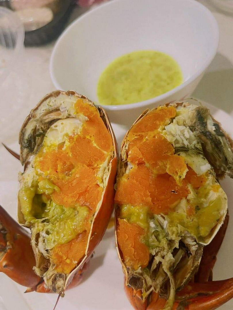 cua-gach-lon-chay-bo-toi