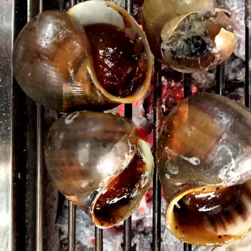 oc-buu-nuong-tieu-phan