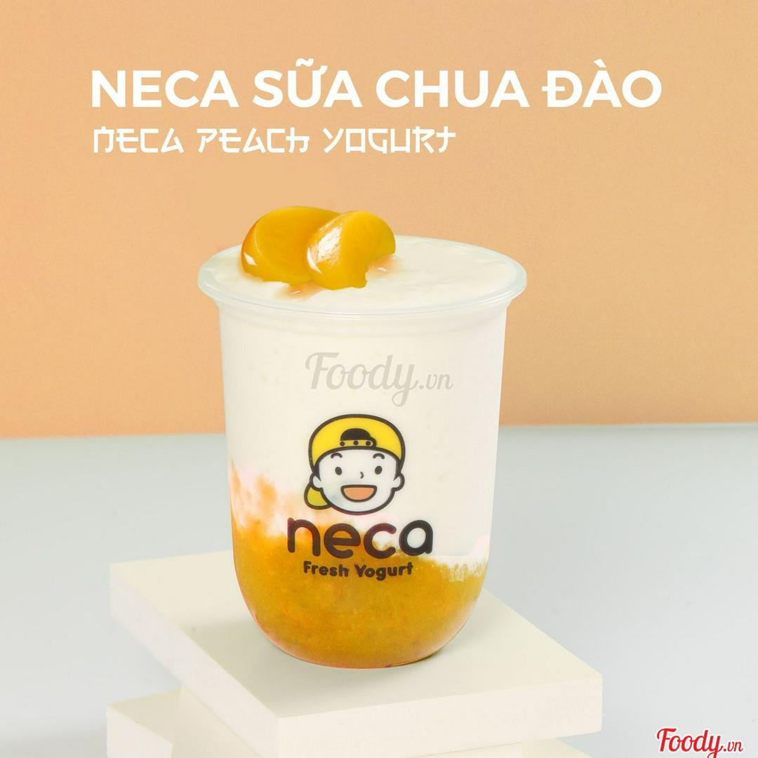 neca-sua-chua-uong-ao