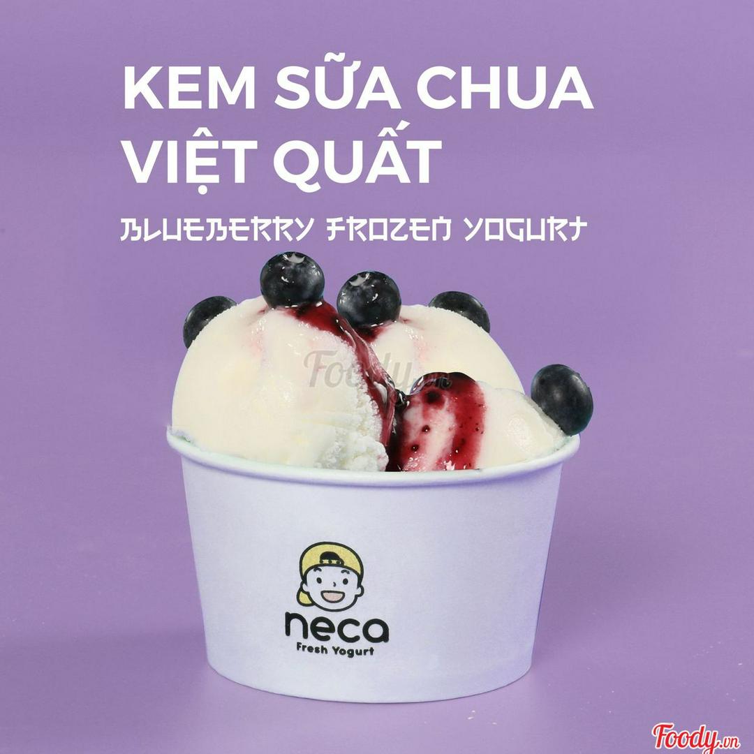 sua-chua-kem-viet-quat