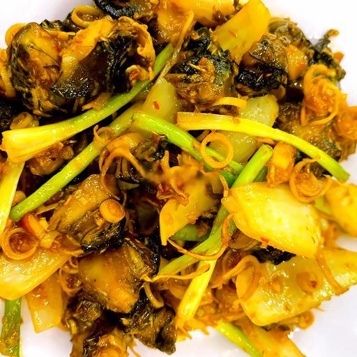 oc-buou-xao-sa-te-dia