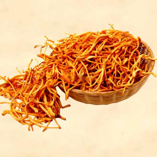 ong-trung-ha-thao-20gr