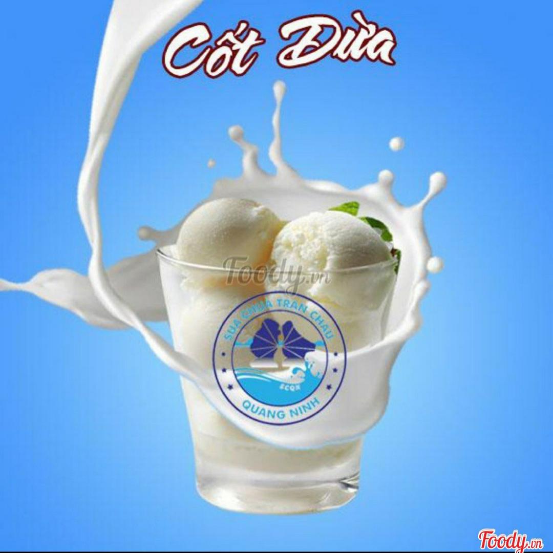 sua-chua-tran-chau-cot-dua