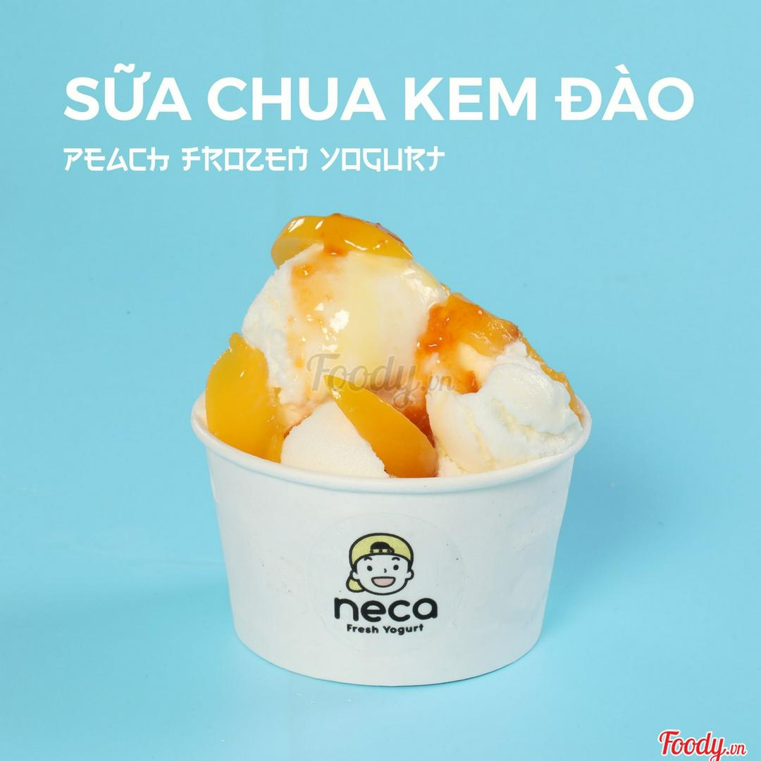 sua-chua-kem-ao