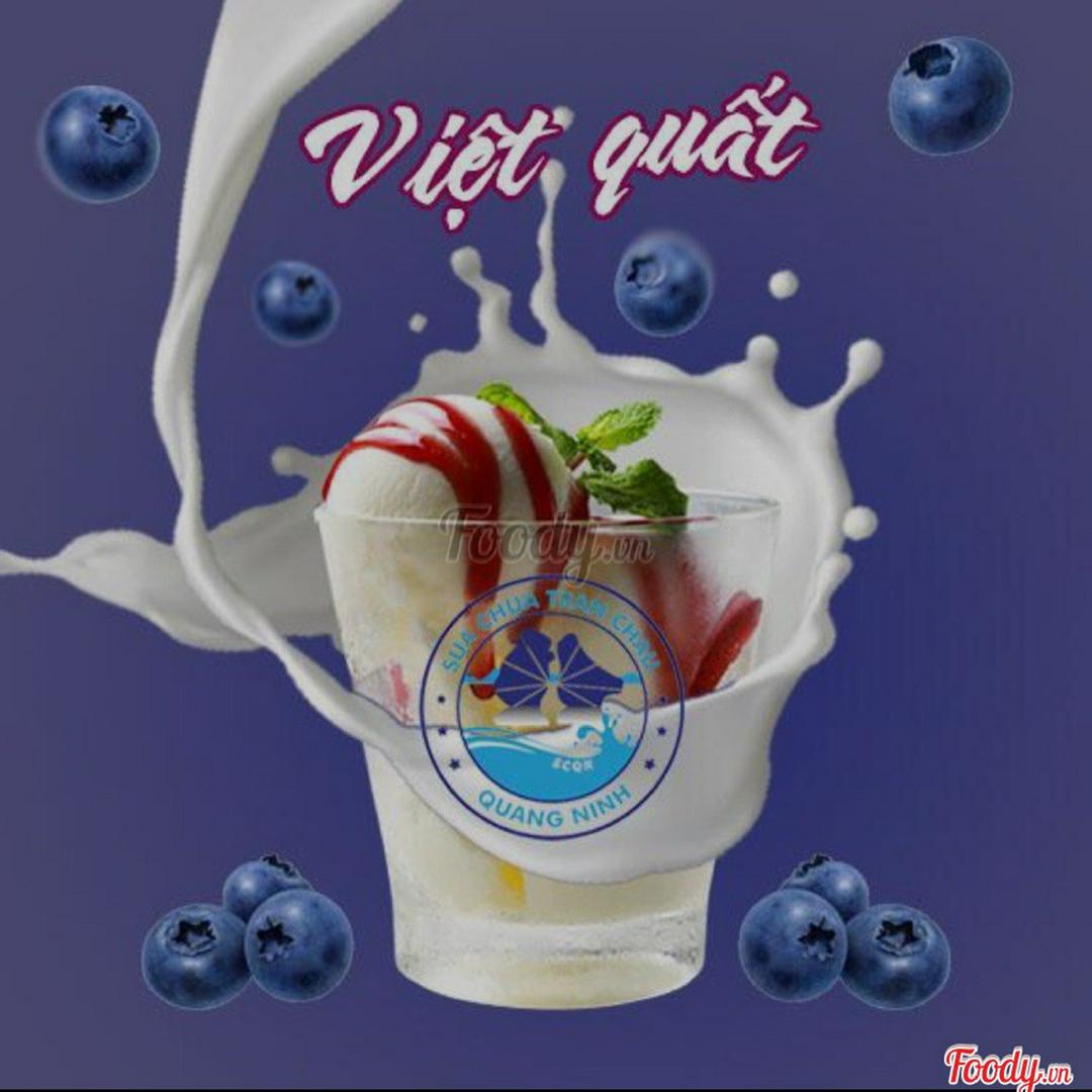 sua-chua-tran-chau-viet-quat