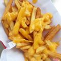 cheesy-fries