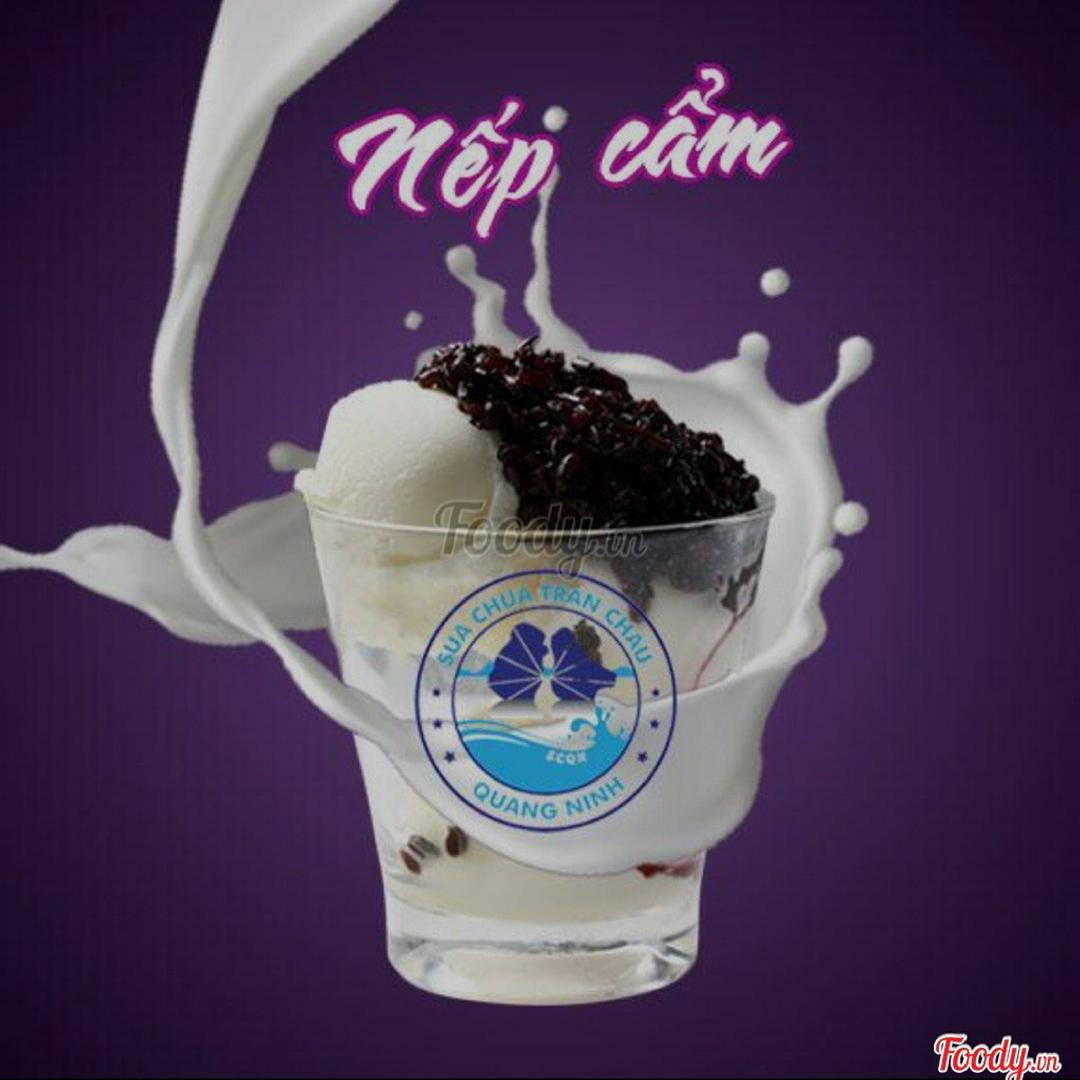 sua-chua-tran-chau-nep-cam