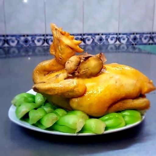 1-con-ga-ta-cung-long