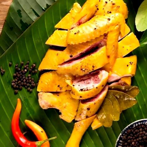 ga-u-muoi-hoa-tieu-61k