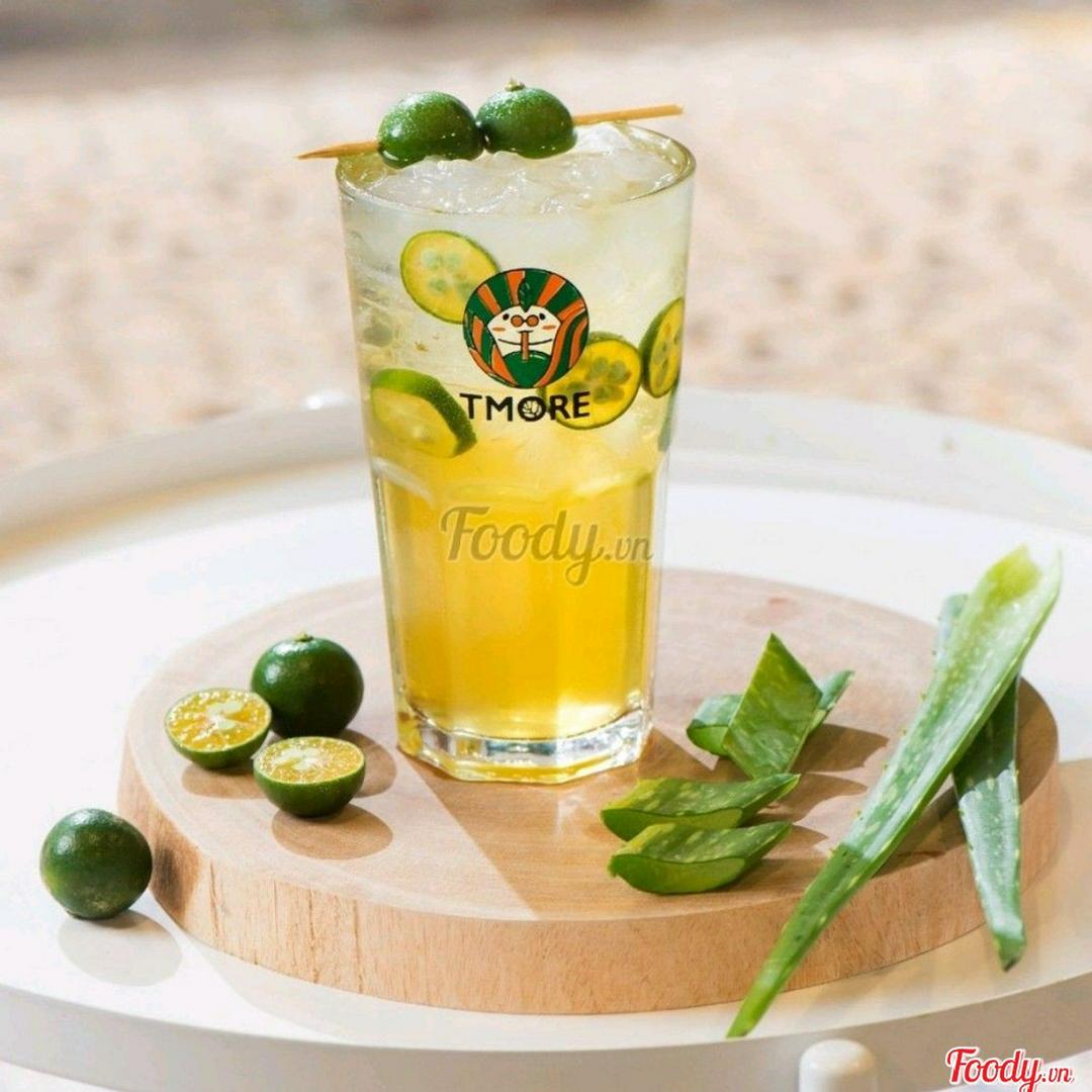 tra-quat-nha-am-size-m