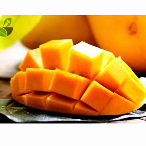 sua-chua-deo-vi-xoai