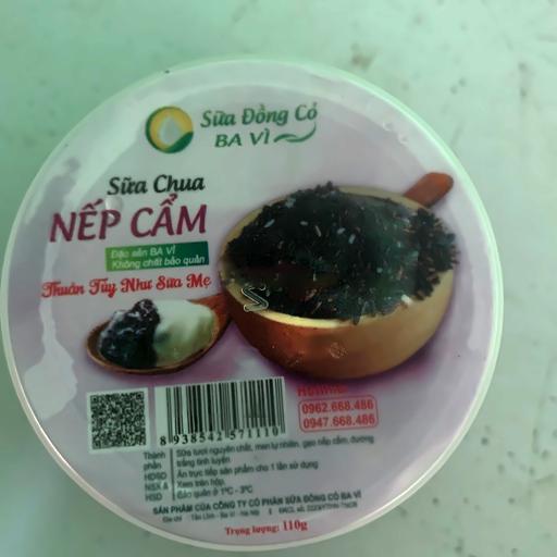 sua-chua-nep-cam