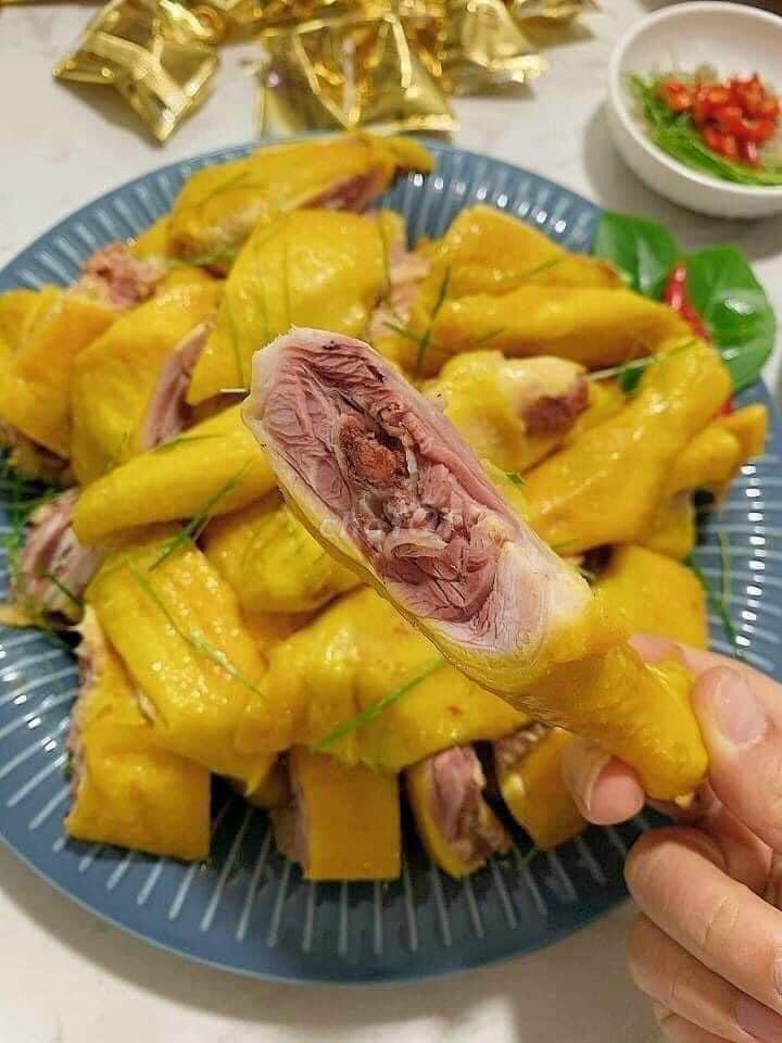 ga-u-muoi-1-2-con-gia-vi-cham