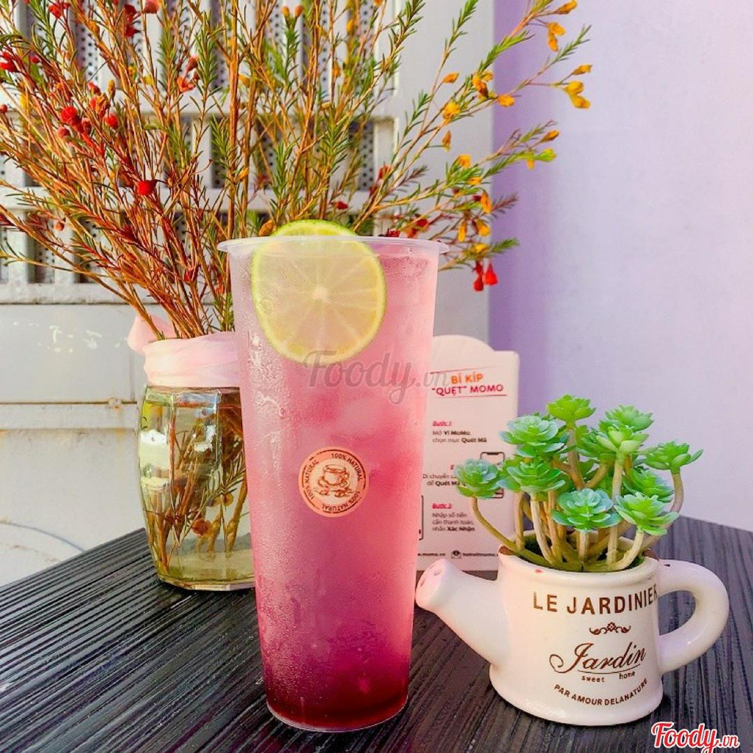 soda-dau-ly-size-l-700ml