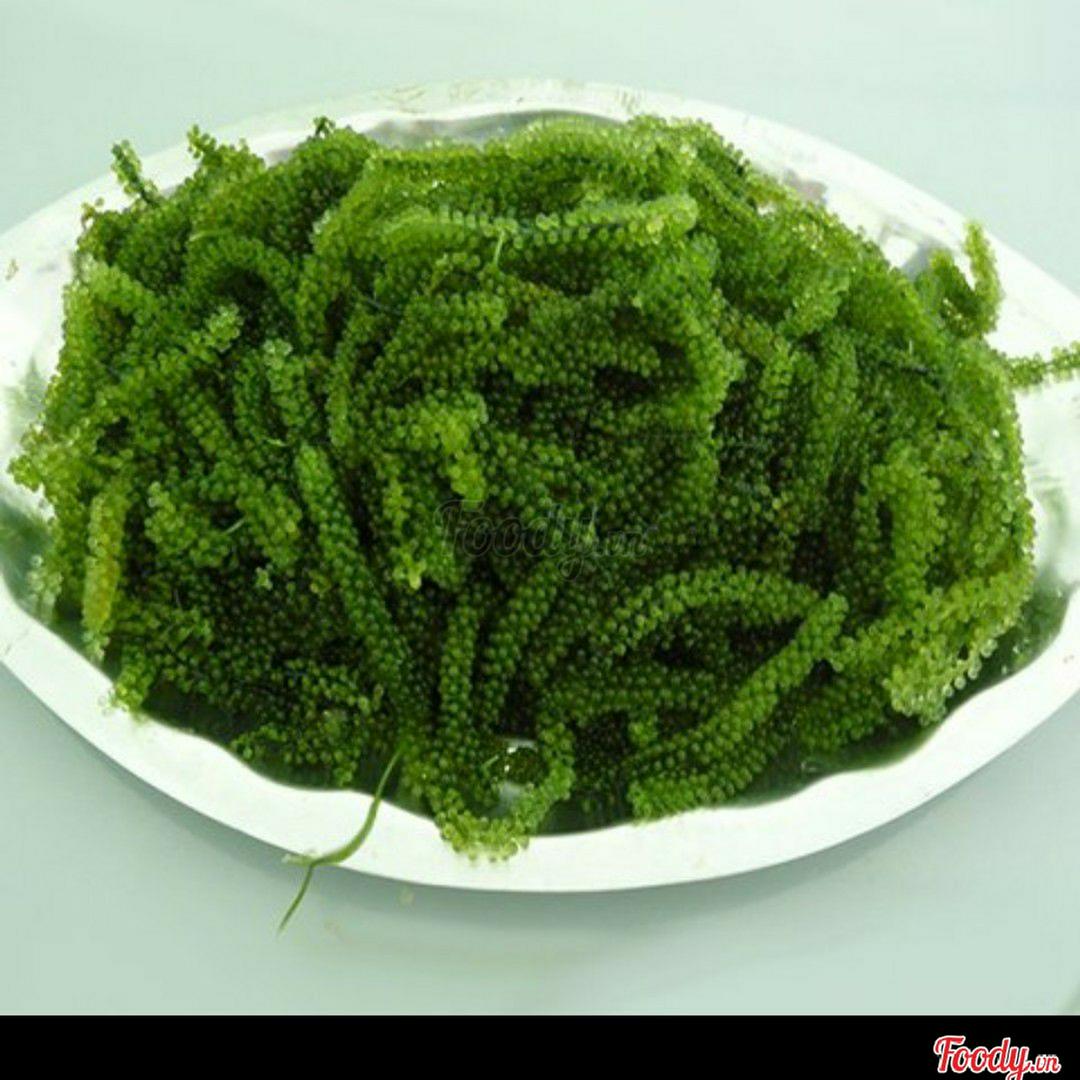 umi-budo-rong-nho-tuoi