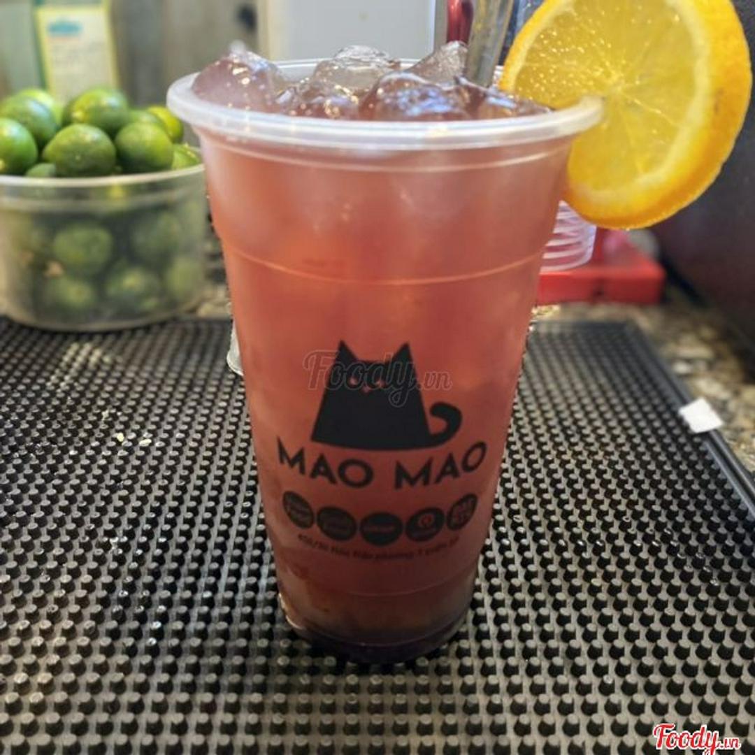 tra-lai-vien-quat-chanh-day