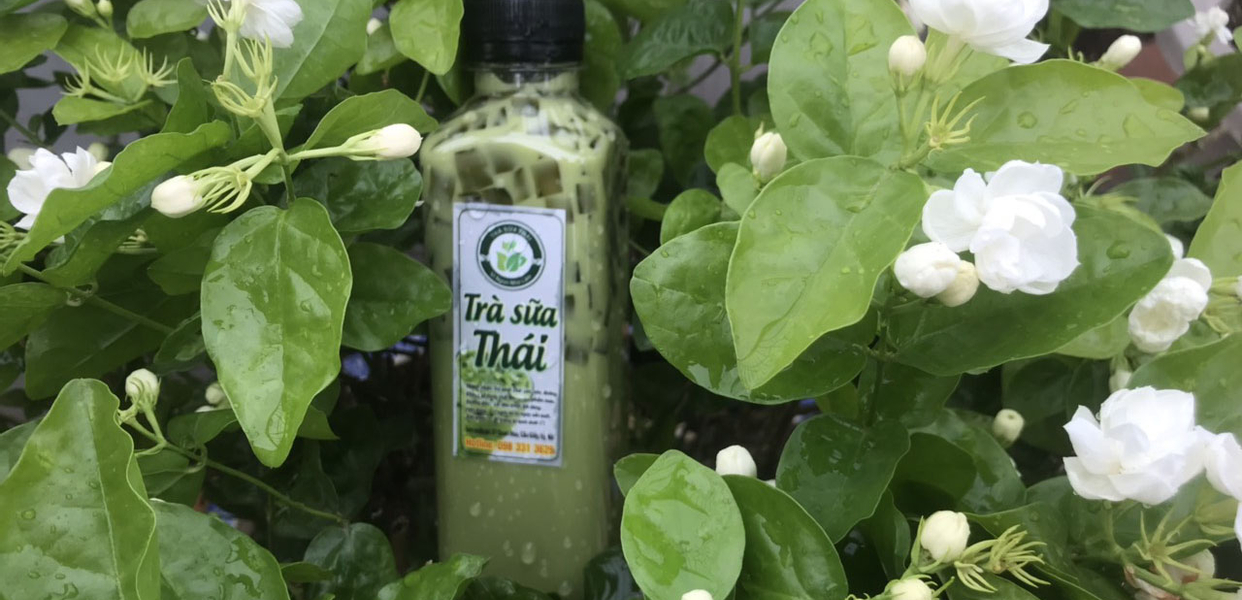 tra-sua-thai-shop-online-quan-hoa