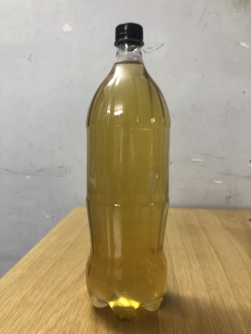 at-mon-truoc-10-ngay-nuoc-sa-sam-bien-tu-nhien-1-5-lit