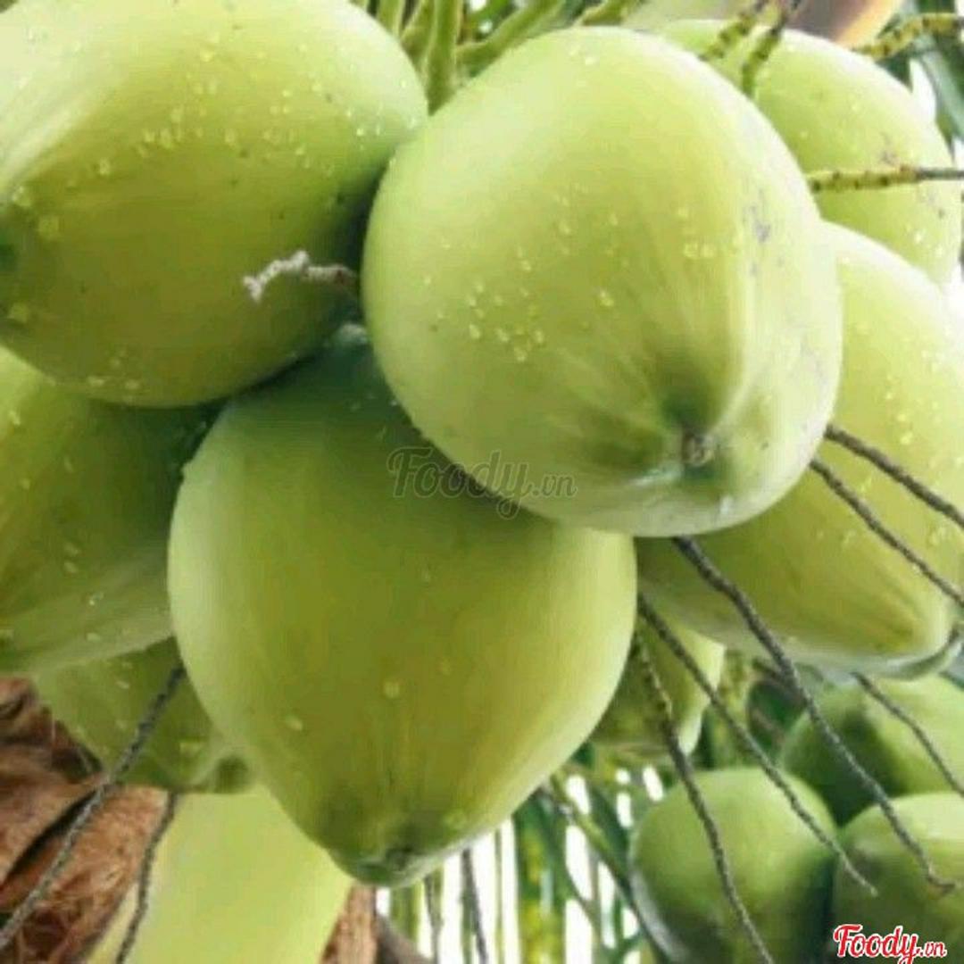 dua-xiem-ben-tre
