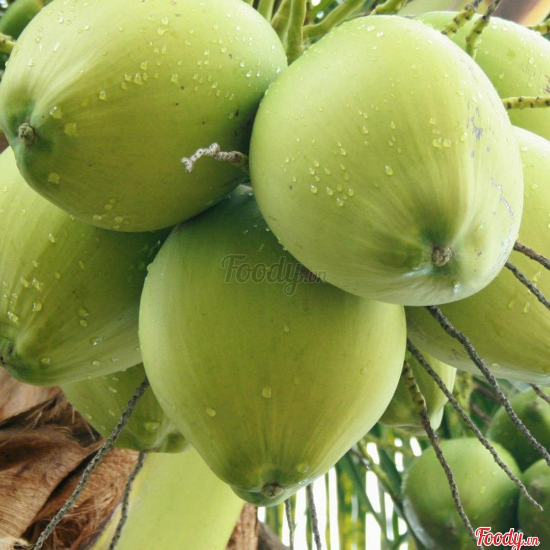 dua-ta-lon-kho-thit-ca