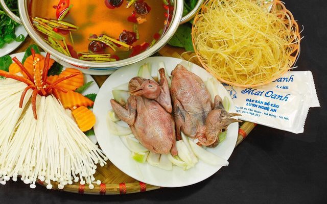 mai-oanh-bo-cau-luon-xu-nghe-to-hieu