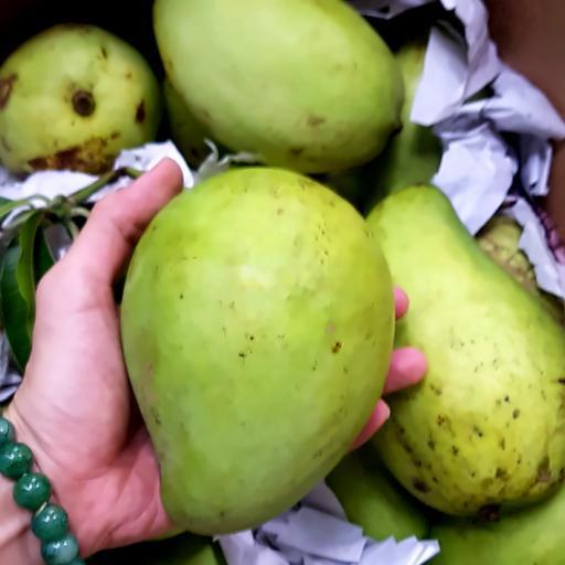 xoai-tu-quy-xanh-gion