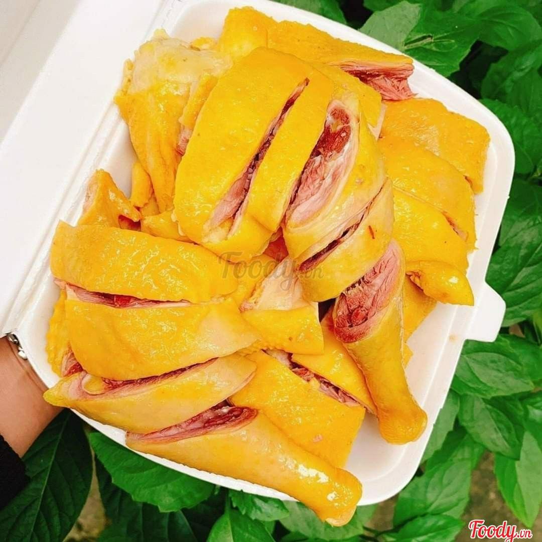 ga-tam-ky-u-muoi-nguyen-con-con-nong-hoi-an-lien