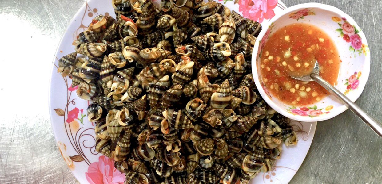 oc-thao-an-ong-oi-cung