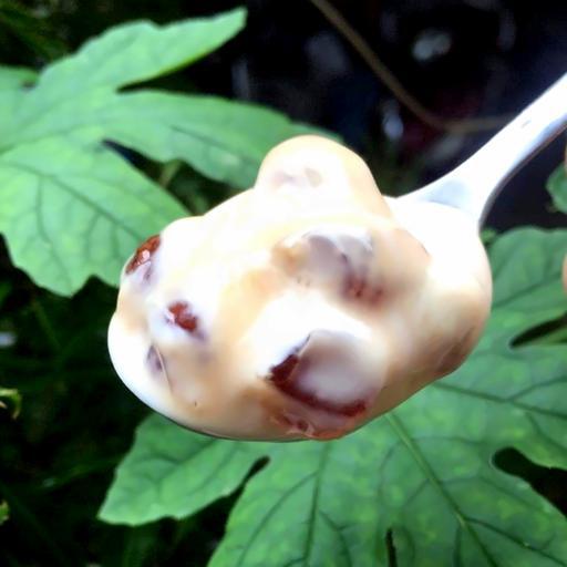 yogurt-deo-tran-chau-uong-en-1-hu