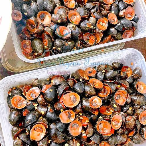 oc-dua-bigsize-xao-muoi-cay