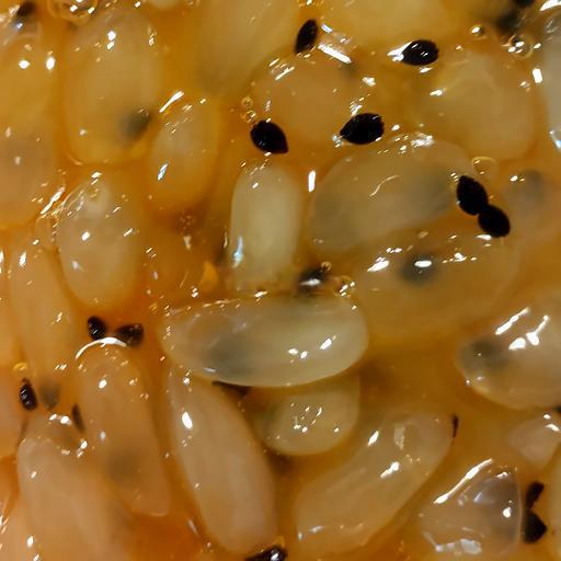 hat-ac-rim-chanh-day