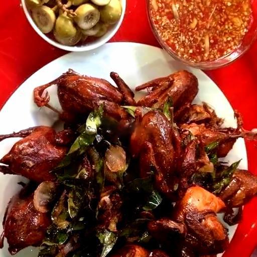 chim-cut-quay-moc-mat-1con