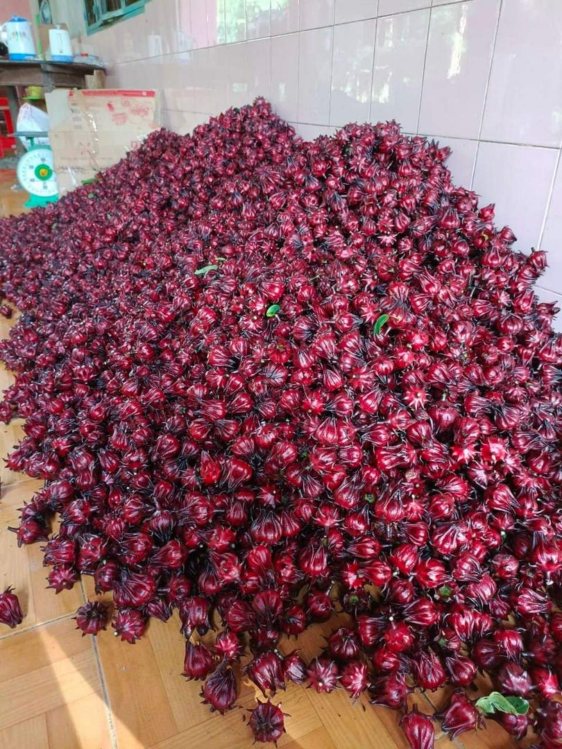 tra-atiso-nguyen-chat-700ml