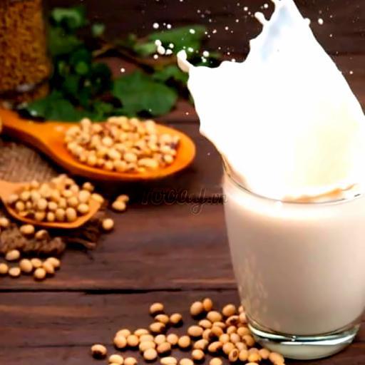 sua-au-lanh-tao-pho-a-bao-gom-thach-chan-chau-i-kem