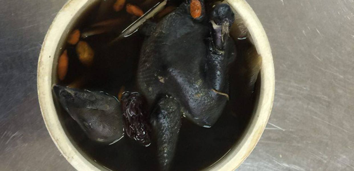 hong-phat-ga-ac-tiem-phan-xich-long