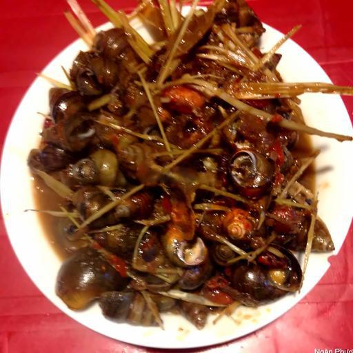 oc-nho-xao-dua-bat-to