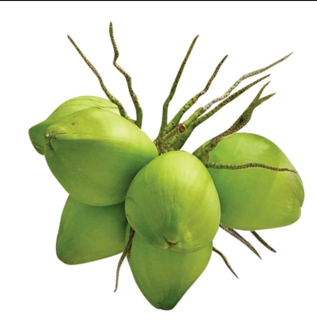 dua-xiem-tuoi-nguyen-trai-2-qua