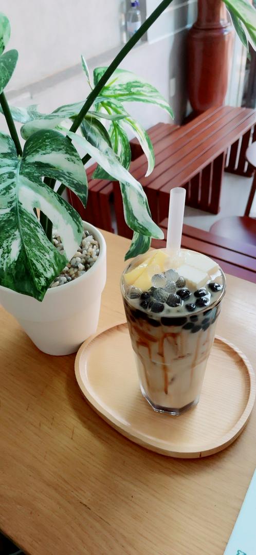 tra-sua-song-sinh-size-m