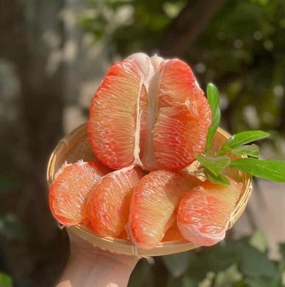 buoi-da-xanh-boc-mui-1-hop