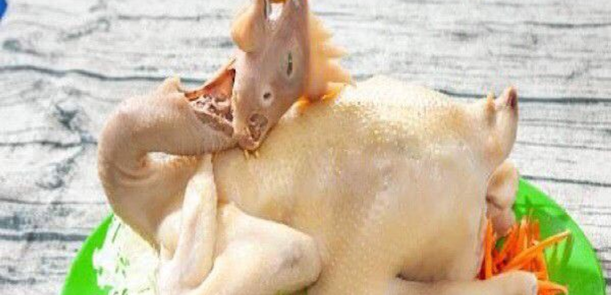 ga-ta-hoi-an-phuong-thao