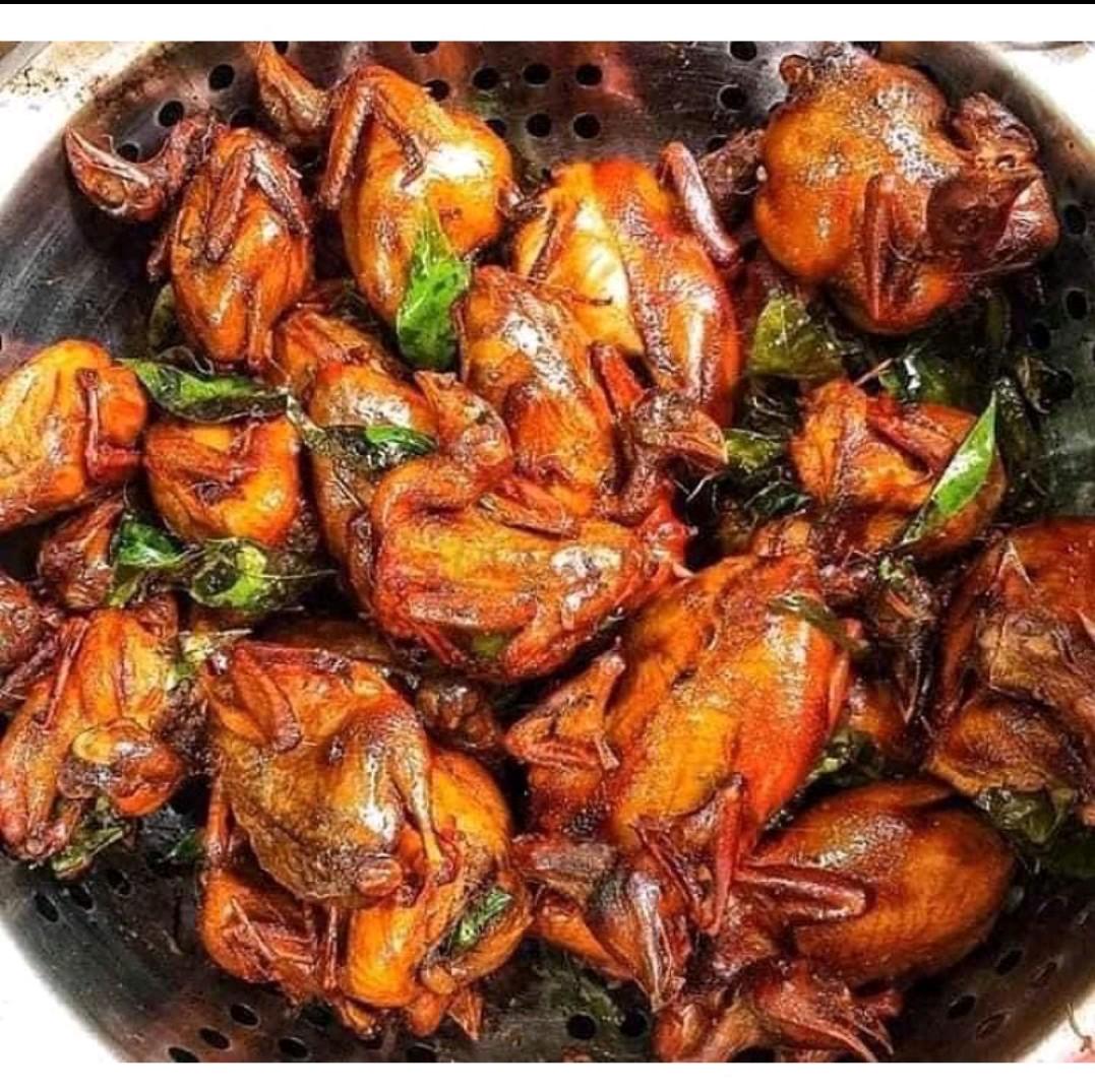 chim-cut-chien-2-con