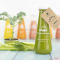 l3-12-perfect-greeny