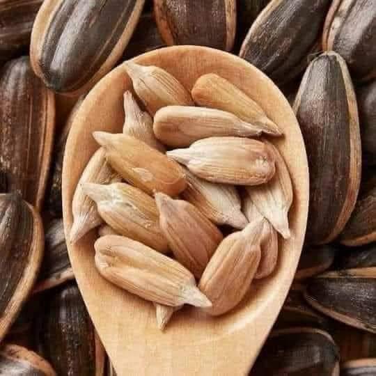 hat-huong-duong-tam-vi