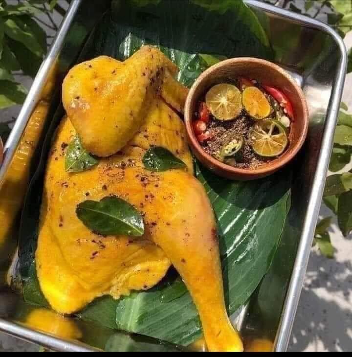 ga-u-muoi-hoa-tieu-nua-con