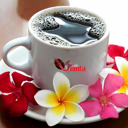 cafe-nau-nong
