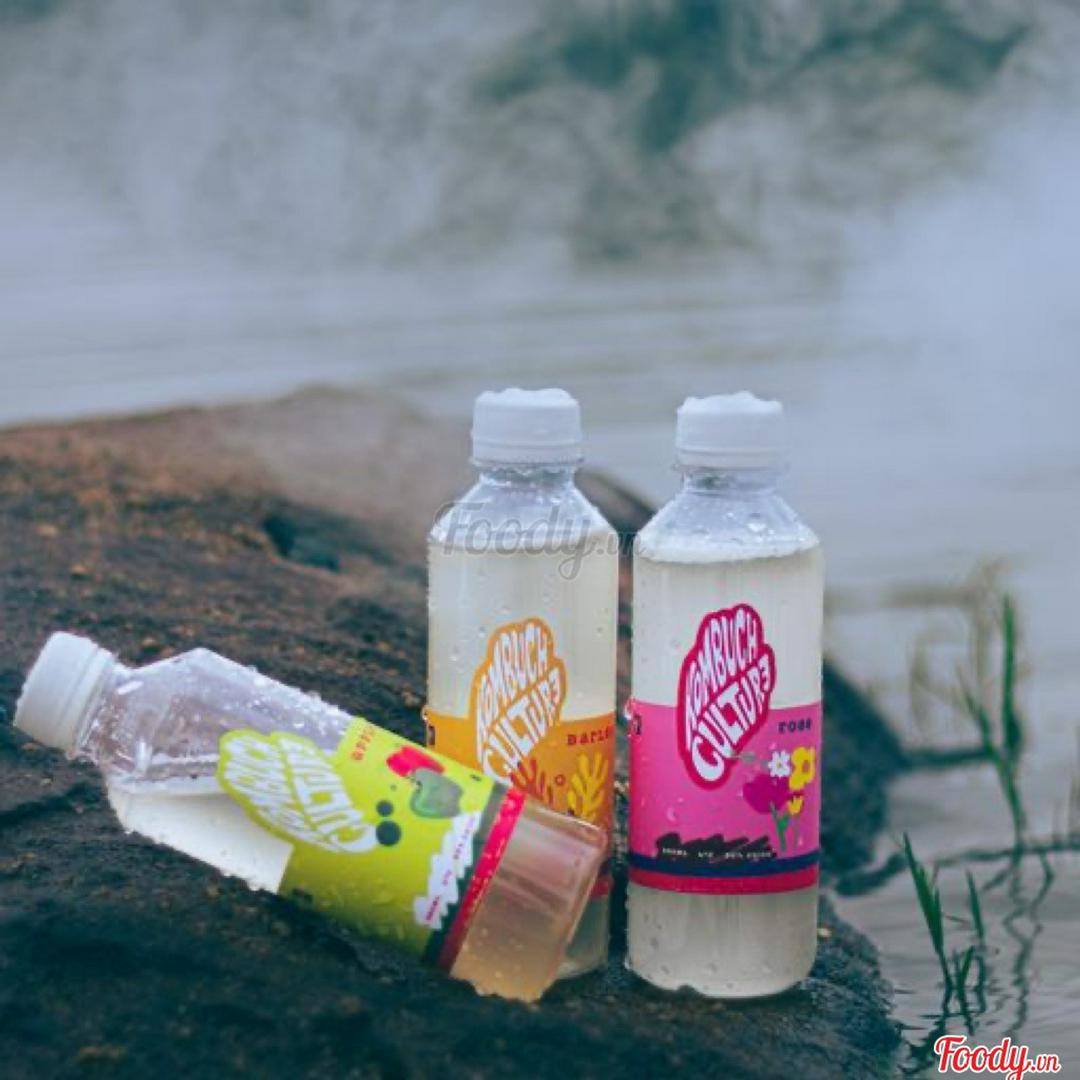 kombucha-bottled-tao