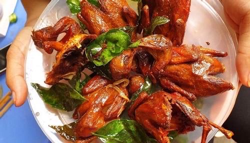 chim-quay-moc-mat-5-con