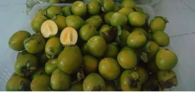 1-kay-hong-gon-tuoi-ngon